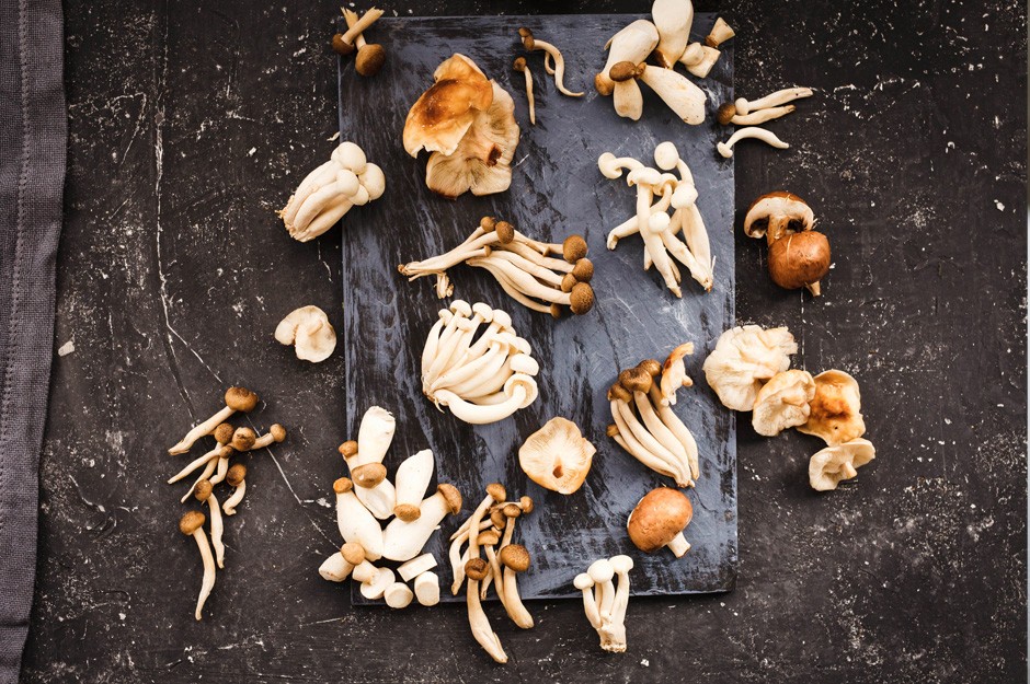 Edible mushrooms: infographic